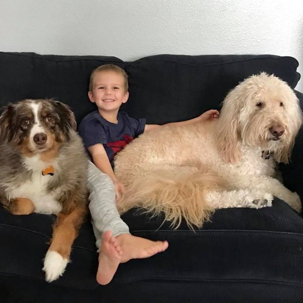 Meet your Posher, Danielle